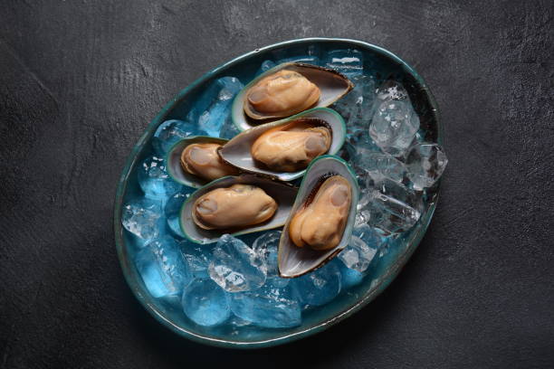 istock Seafood raw mussels in a plate on ice cubes 1288037001