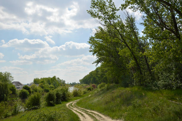 istock landscape by the river in spring, with green poplar trees and blue sky with white clouds in the background 1288038068