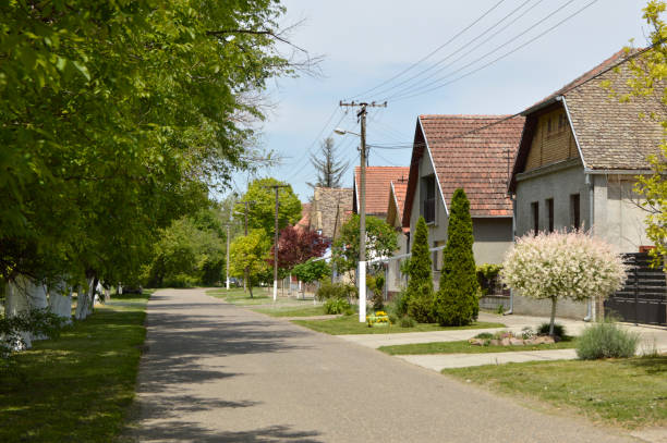 street in rural village Backi Petrovac in bright spring day