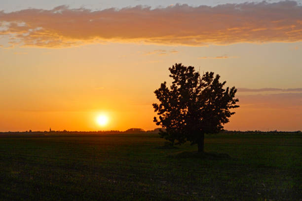 istock sunset in the rural landscape 1288038917