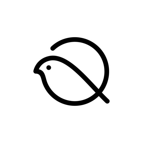 finch bird line outline vector icon illustration finch bird line outline vector icon illustration finch stock illustrations