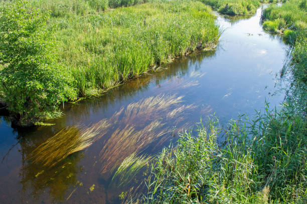 istock reflection of the sky in a quiet river 1288039992