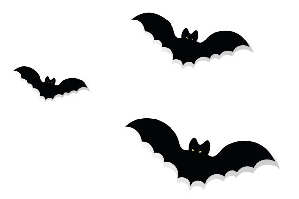 istock The bats. Silhouette. Glowing eyes. Vector illustration. Isolated white background. Halloween symbol. Gloomy shadows. Vampire animal. A blood-sucking mammal. All Saints Day. Carrier of dangerous infections. 1288042572