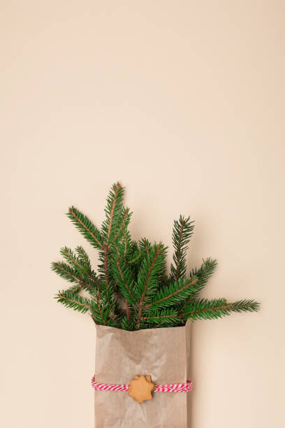 istock Christmas zero waste eco friendly concept. Festive Xmas decorations, homemade gingerbread cookies, fir branches on natural beige background. 1288044628