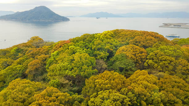 istock Landscape in Ise Shima, Japan 1288044754