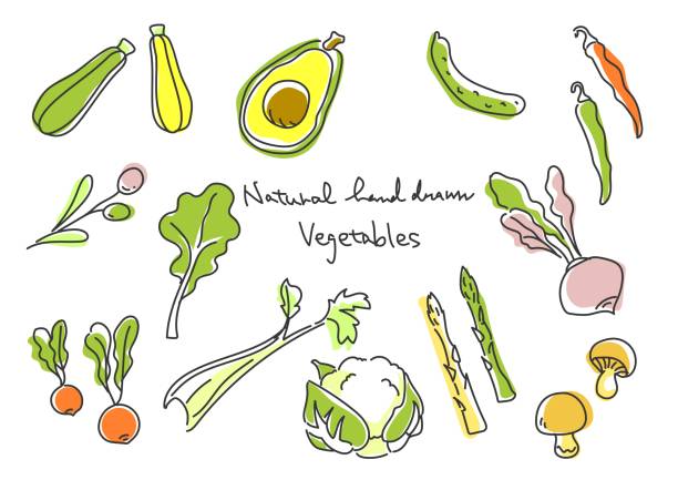 手描き自然なイラスト、野菜 - asparagus vegetable white background freshness点のイラスト素材／クリップアート素材／マンガ素材／アイコン素材