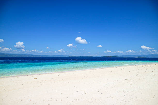 istock Scenic View Of Beach Against Clear Blue Sky 1288045918