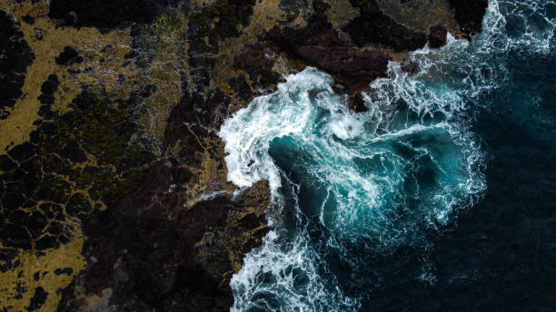 istock Aerial view of wave crashing into rocks. 1288046947