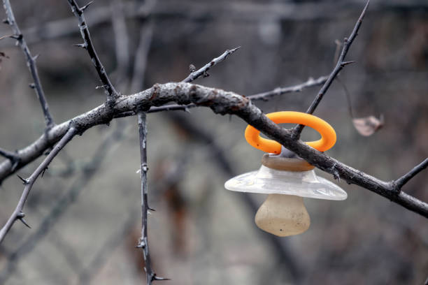 istock Baby dummy hanging on tree. Lost dummy. Baby kidnapping concept. 1288051382