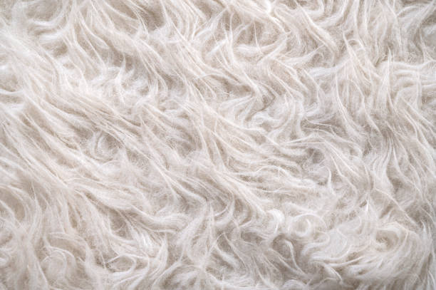 istock Close up detail of artificial fur 1288051503