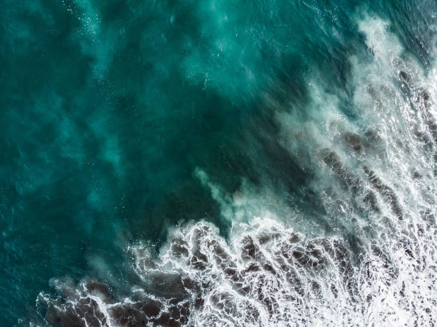 istock Soft wave of blue ocean on sandy beach. 1288051791