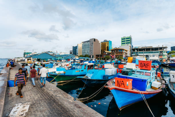 Fish market in Male, Maldives Male, Maldives, June 27. 2019: Fish market on boats. maldives fish market photos stock pictures, royalty-free photos & images