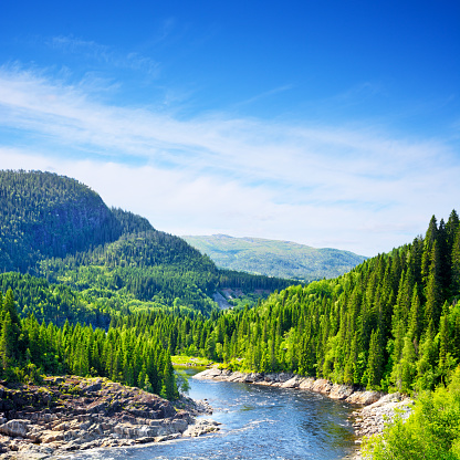 The river of Ljusnan runs like a snake through deep green forest and meadows. Along the many curves of the river there are sand beaches. Seen from above in the village of Bruksvallarna, Harjedalen, Sweden.