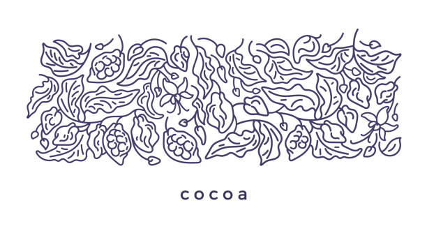 ilustrações de stock, clip art, desenhos animados e ícones de cacao design. art line pattern. organic chocolate - design chocolate