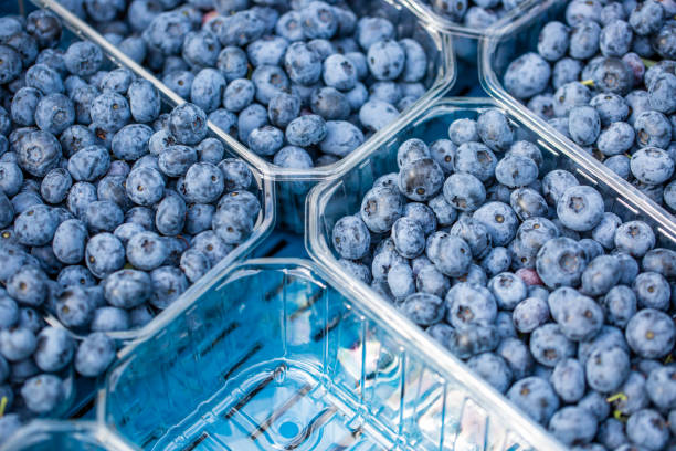 istock Close up of a fresh harvested raw blueberries, fruit concept 1288055506