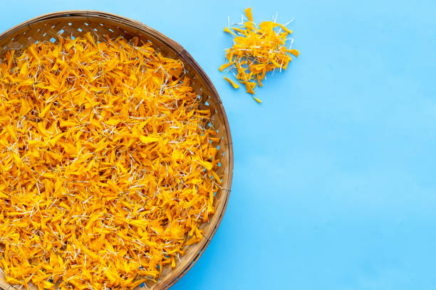 istock Petals of marigold flower on blue background. 1288058130