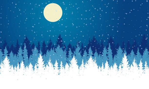 istock Silhouette winter forest at night. Beautiful landscape, fir trees, snowfall. Vector illustration. 1288067223
