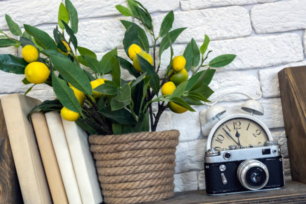 An old camera with books, clocks  and artificial lemon tree on a shelf with white bricks background. Vintage interior, hobby.