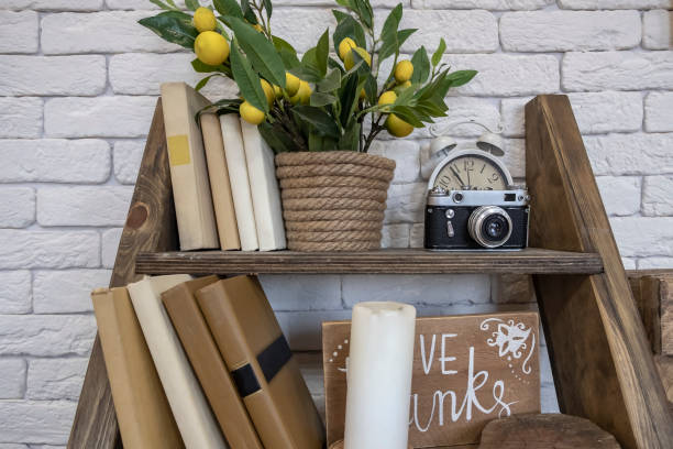 An old camera with books, clocks  and artificial lemon tree on a shelf with white bricks background. Vintage interior, hobby.