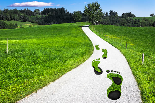 Carbon Footprint Concept stock photo