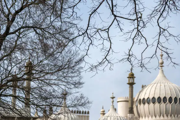 Photo of Domed towers of the Royal Pavillion,Brighton partially obscured by abstract shapes of winter tree branches.