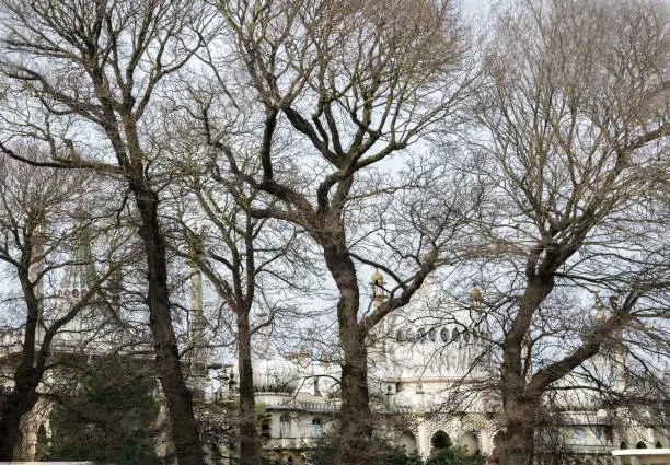Photo of Exterior of the Brighton Royal Pavillion,partially obscured and semi silhouetted by abstract shapes of winter trees.East Sussex,England,United Kingdom.