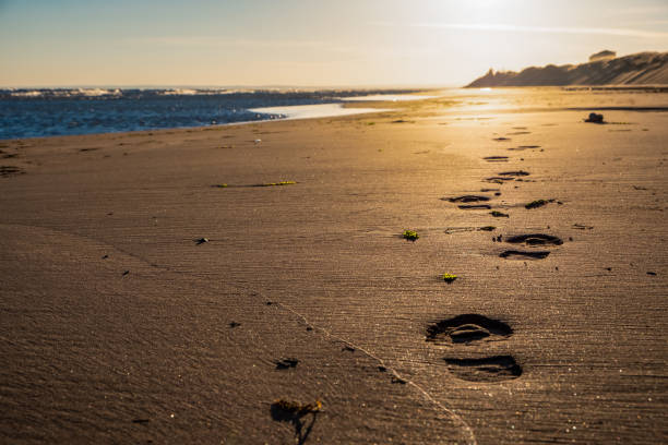 Boots footprints on a wet sand in perspective. Footprints on the beach with sunset background.