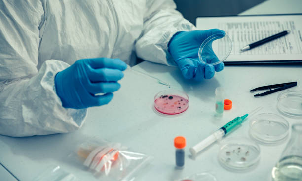 istock Scientist with a petri dish in the laboratory 1288074276
