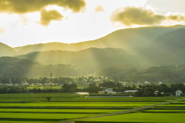 imagem rural luz do pôr do sol refere-se - região de tohoku - fotografias e filmes do acervo