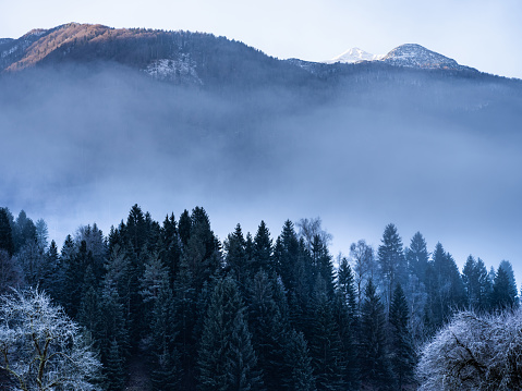 Misty winter day in Kranjska Gora, Slovenia.