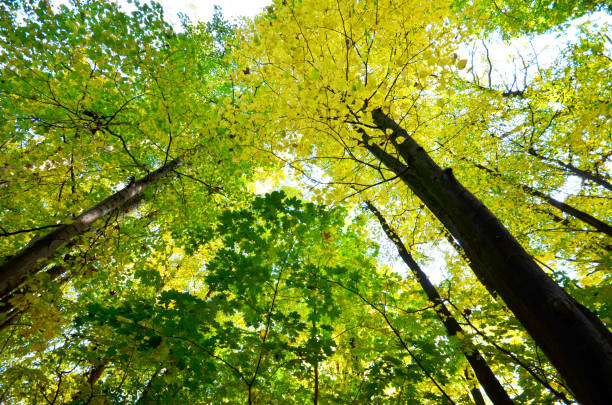 Autumn landscape sunny day fall colors