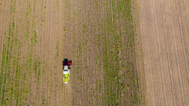 istock Above view on combine, harvester machine, harvest ripe... 1288077290