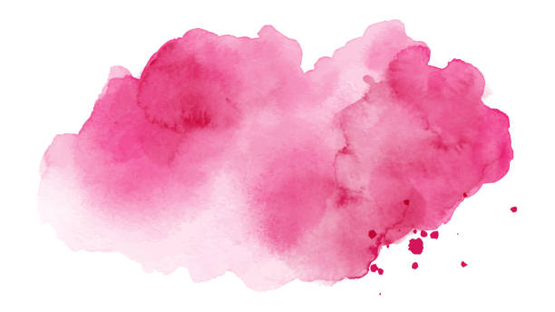 Abstract bright pink of stain splashing watercolor on white background Abstract bright pink of stain splashing watercolor hand-painted on white background. Artistic used as being an element in the decorative design of invitation, cards, or wall art. pink color stock illustrations