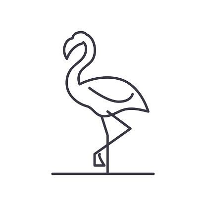 Flamingo icon, thin line isolated illustration, linear vector web design sign, outline concept symbol with editable stroke on white background.