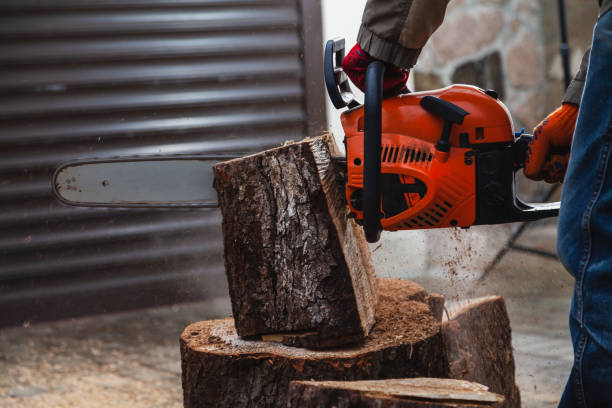 istock Chainsaw hands sawing large piece of wood 1288085423