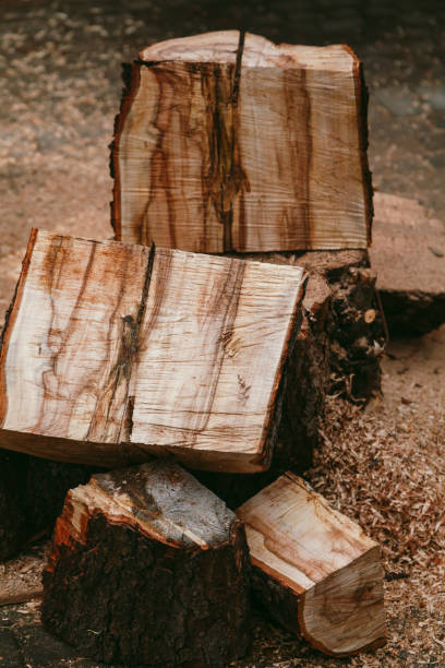 istock Sawn trunk of tree lies in yard 1288085517