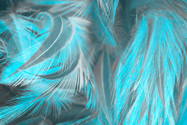 istock Beautiful  blue turquoise vintage color trends feather pattern texture pastel background 1288091498