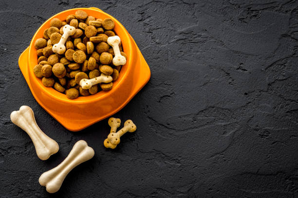 istock Dry dog food in bowls with bones, top view, copy space 1288096319