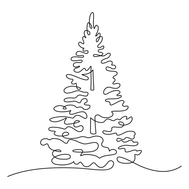 fichte - tree outline branch forest stock-grafiken, -clipart, -cartoons und -symbole