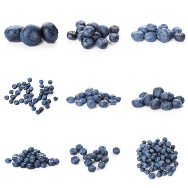 istock Blueberries set isolated on white background. Bilberry. Clipping path. 1288096892