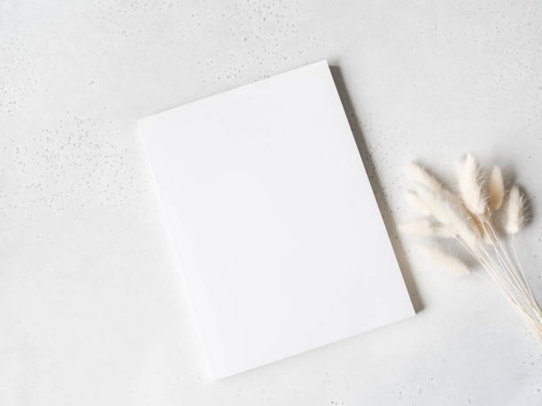 istock White magazine cover mockup and dry branches 1288097971