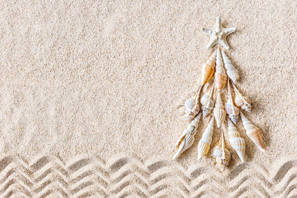 overzeese schelpen en stervissen kerstboom op duidelijk zand, hoogste mening - tropisch-motief-fotos stockfoto's en -beelden