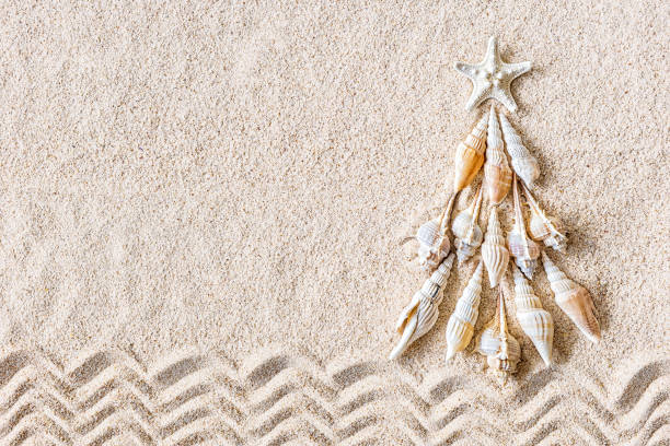 Sea shells and star fish Christmas tree on clear sand, top view stock photo