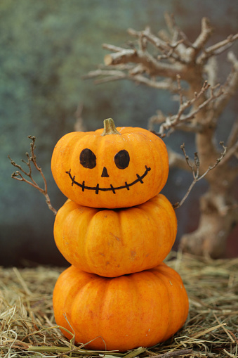 Stock photo showing a pumpkin man on a pile of hay prepared for Halloween night - All Hallow's Eve. A stack of three orange pumpkins with scary face drawn onto the top gourd. A pumpkin by the front door indicates that the house is happy to accept Trick or Treaters / children dressed up for a night of Trick or Treat / Treating.