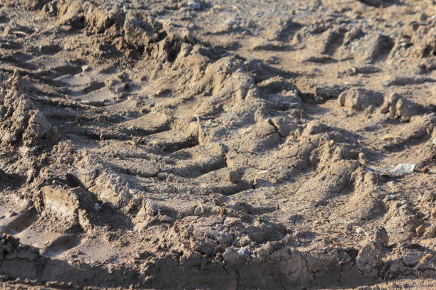 istock Wheel tracks on gravel and muddy roads 1288099014