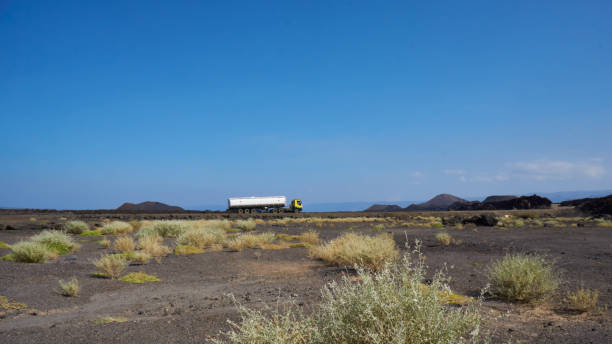 istock Djibouti volcanic lava fields 1288099214