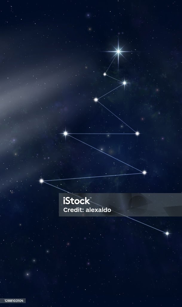 Brainline Stars Tree Star Tree In Space Stock Illustration - Download Image Now - Astrology ...