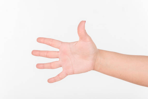 istock Woman Hand and All Five Fingers. White Bakcground. 1288103896