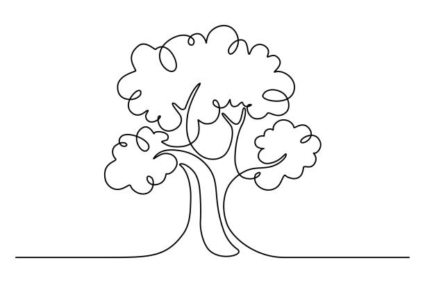 Big tree Tree in continuous line art drawing style. Giant and powerful tree black linear design isolated on white background. Vector illustration oak tree stock illustrations
