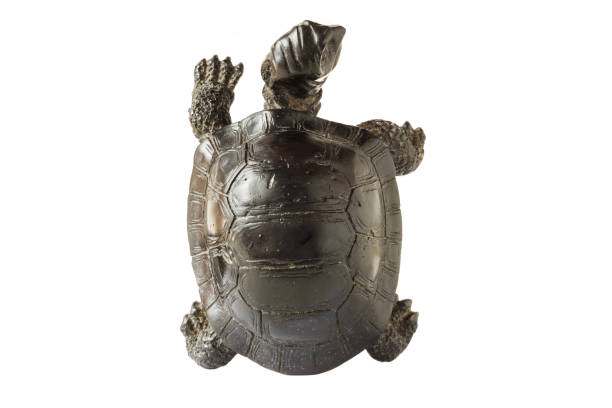 istock Black figurine of a turtle 1288106407